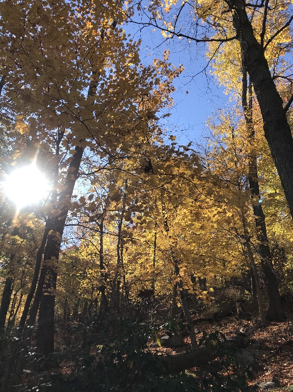 IMG_3837.JPG